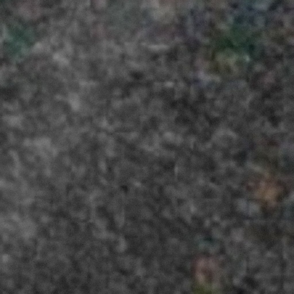 Chiku Natural Pearl
