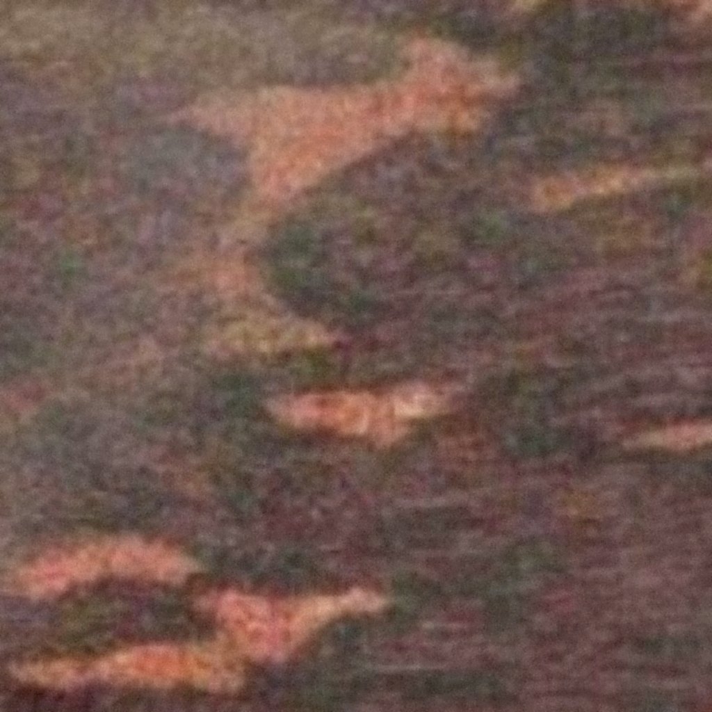 Fish Brown