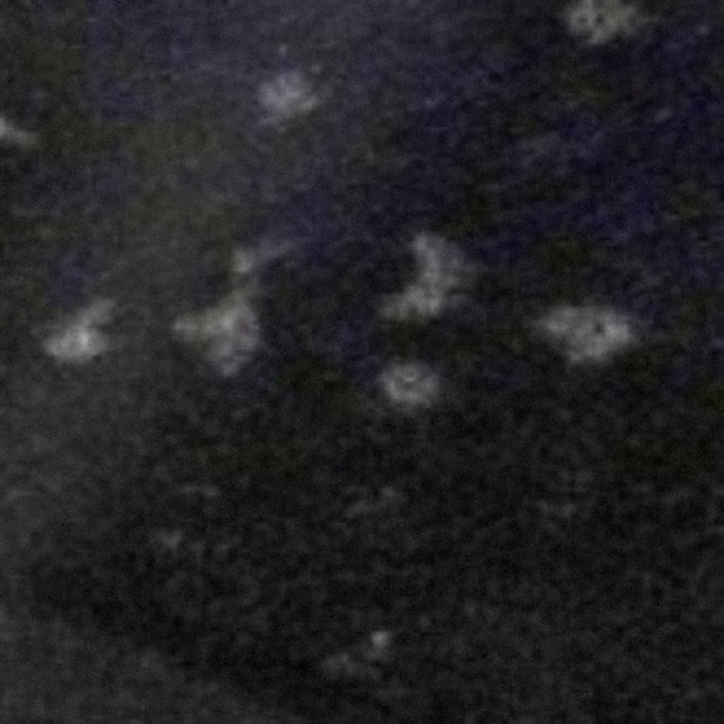 Fish Galaxy