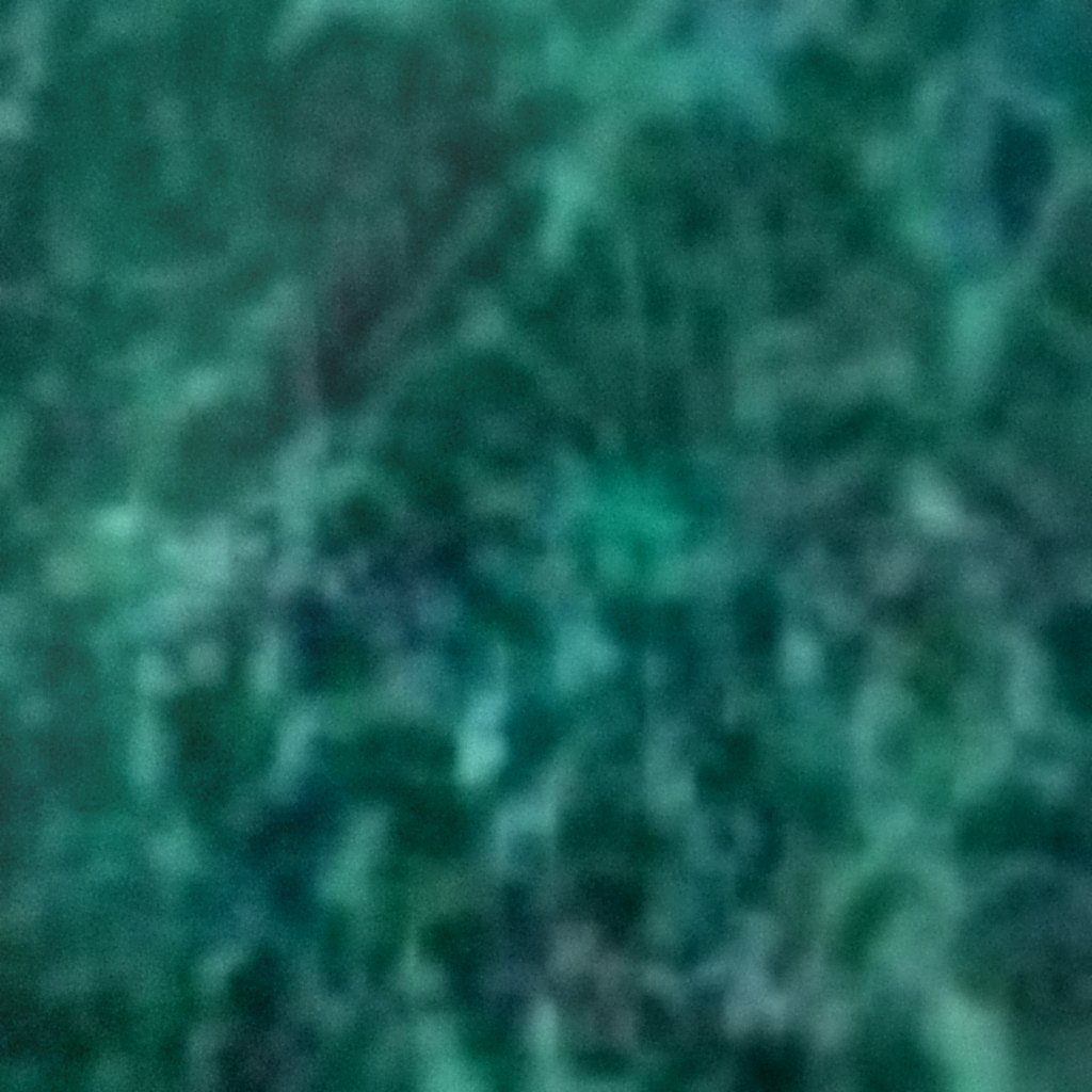Forest Green Polish