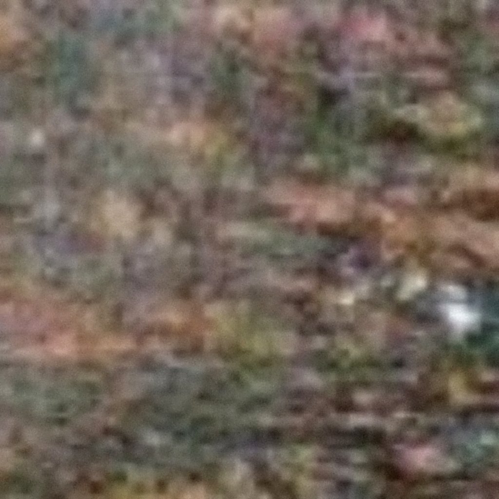 Lapato Paradiso