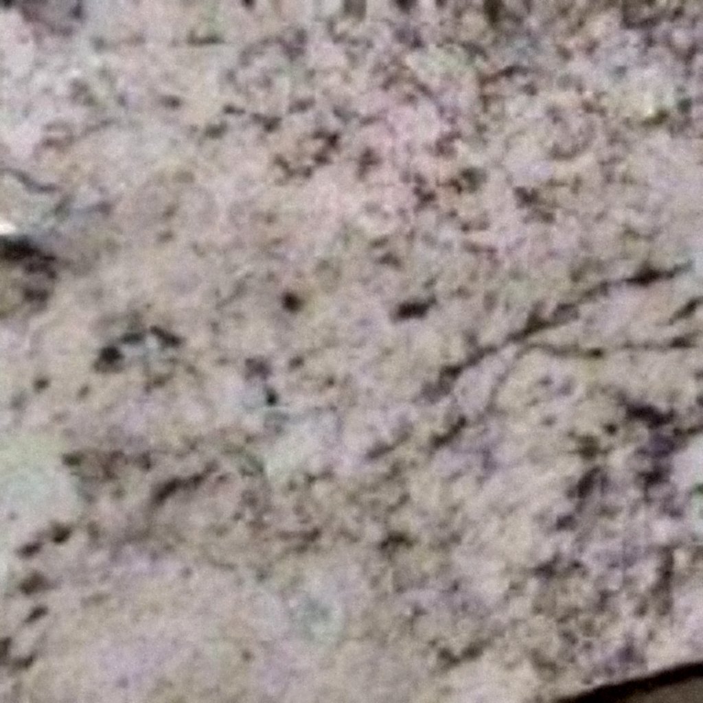 Silver Emperador Granite